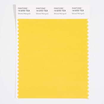 その他 PANTONE for fashion and  COLOR CARD その他 PANTONE for fashion and home COLOR CARD PANTONE® USA